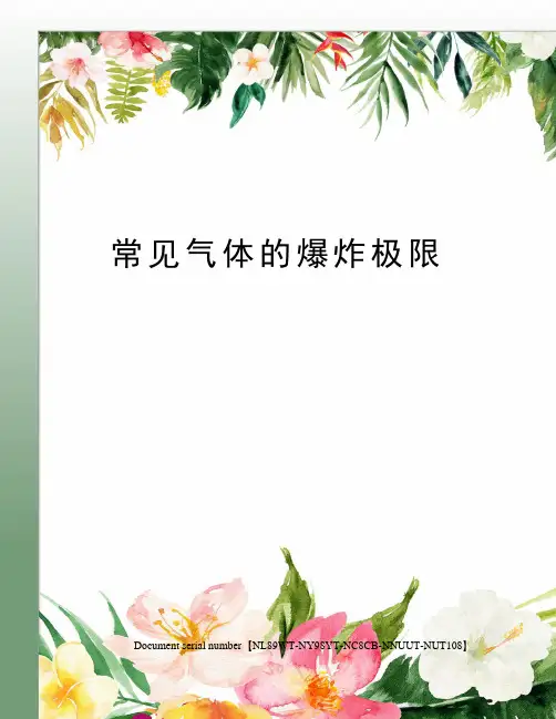 常见气体的爆炸极限完整版