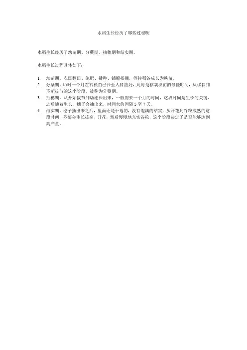 水稻生长经历了哪些过程呢