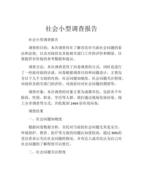 社会小型调查报告