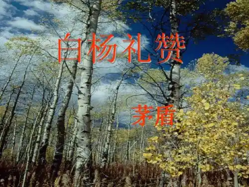 白杨礼赞