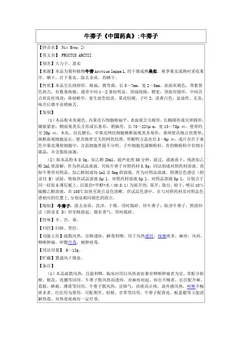 牛蒡子《中国药典》
