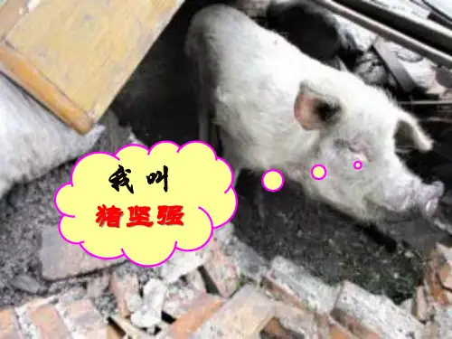 高中生物(人教版)课件：必修1第二章第五节《细胞中的无机物》(共25张)