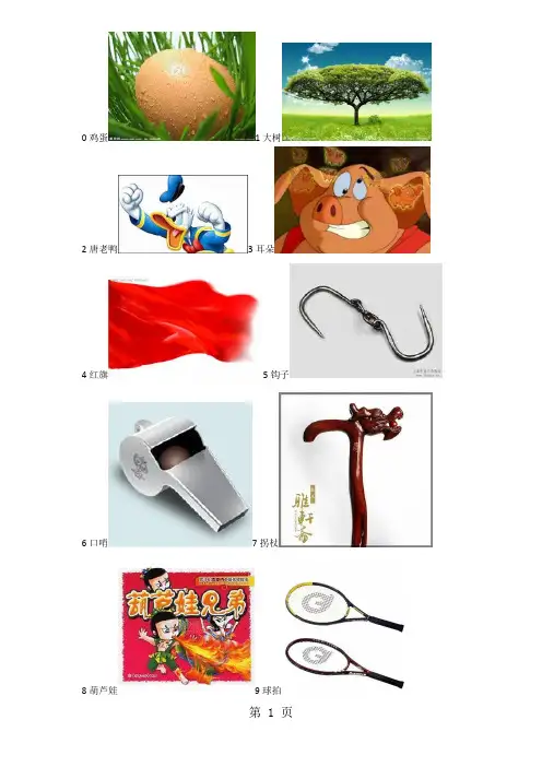 数字记忆编码(精心编制_请勿转载)14页word