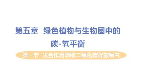 人教版生物七年级上册.1光合作用吸收二氧化碳释放氧气课件