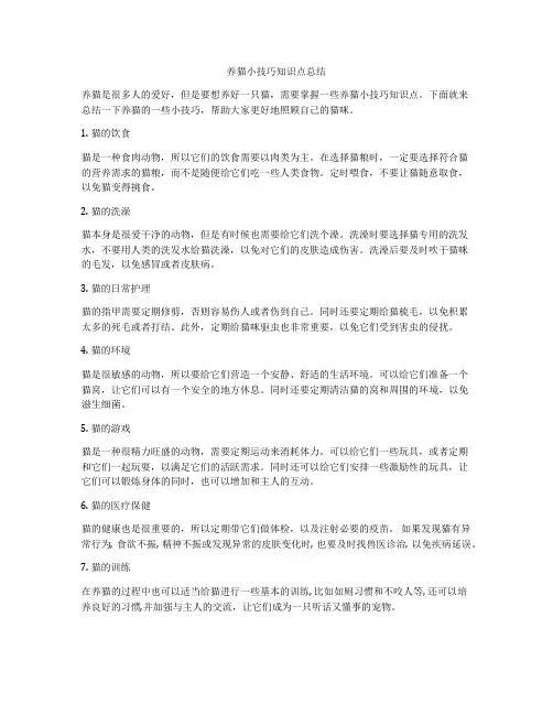 养猫小技巧知识点总结