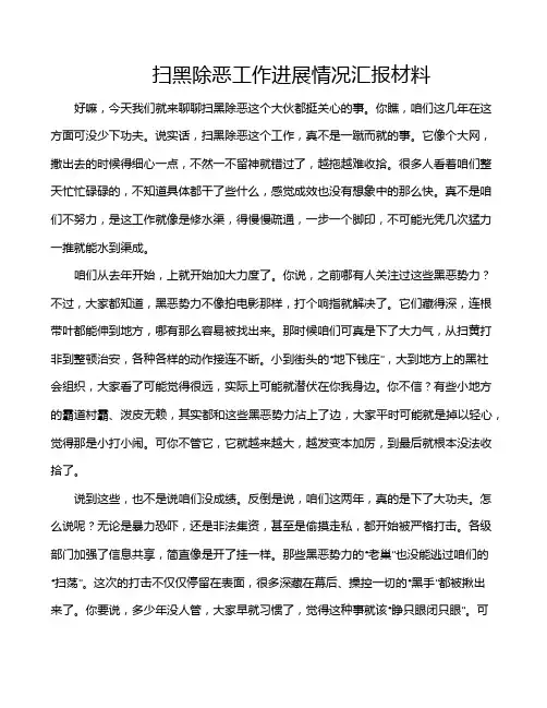 扫黑除恶工作进展情况汇报材料