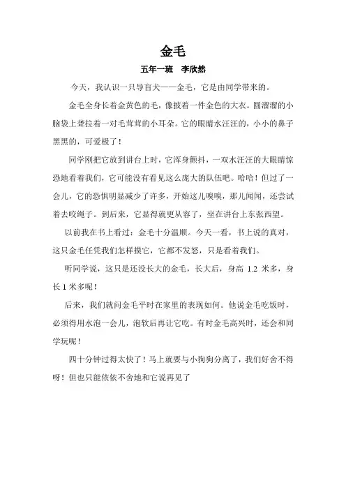 金毛 李欣然