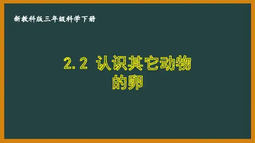 三年级科学下册第二单元新教科版《2.2认识其它动物的卵》课件