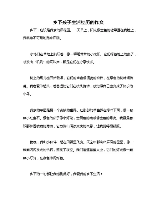 乡下孩子生活经历的作文