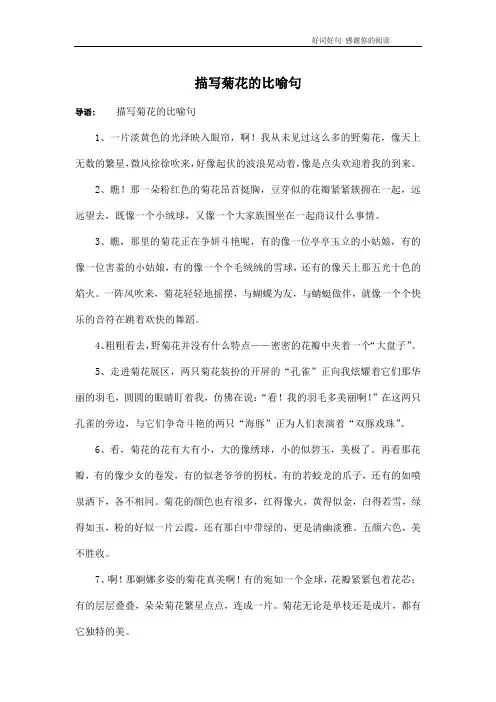 描写菊花的比喻句