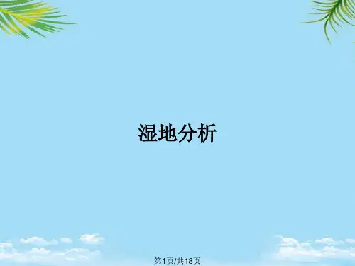 湿地分析PPT全面版