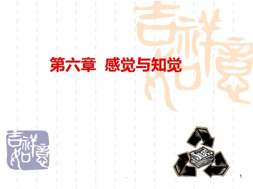 感觉与知觉ppt课件