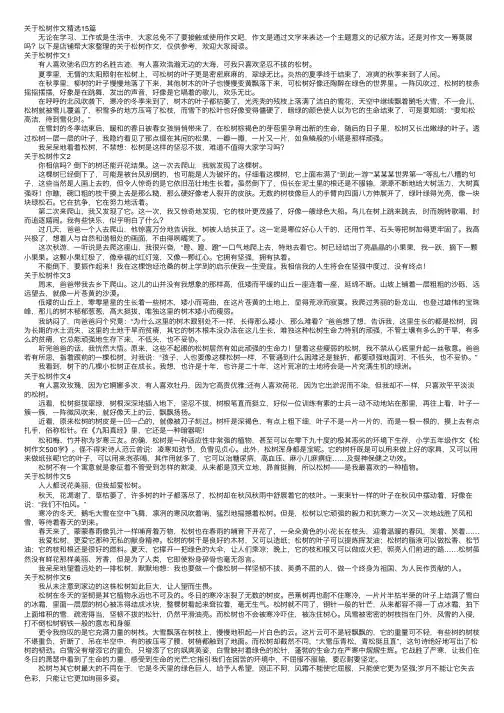 关于松树作文精选15篇