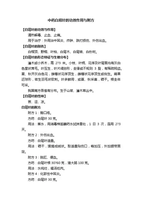 中药白背叶的功效作用与附方