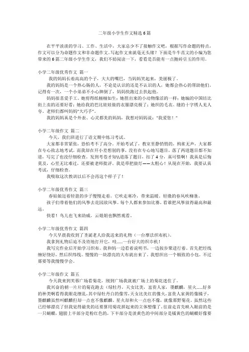 二年级小学生作文精选6篇