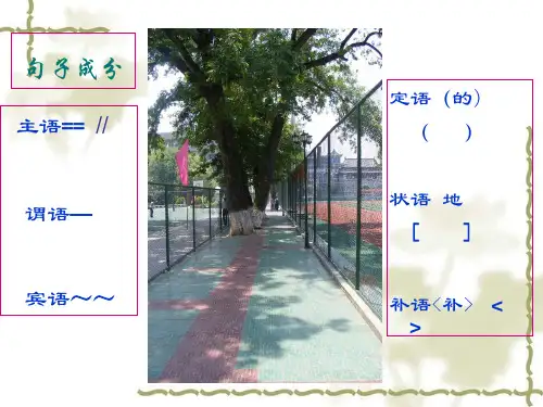 高三语文语法专题复习句子成分
