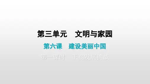 上册第六课第一课时正视发展挑战作业课件部编版道德与法治九年级全一册