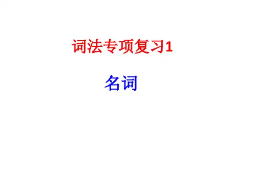 2020届高考英语词法专项复习1名词 (共17张PPT)