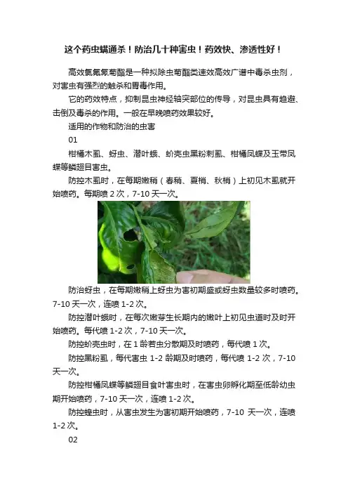 这个药虫螨通杀！防治几十种害虫！药效快、渗透性好！