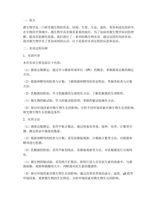 微生物的实训报告反思总结