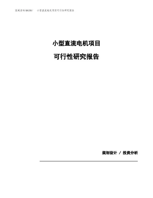 关于建设小型直流电机项目可行性研究报告