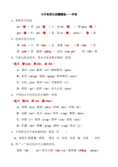 河南省小升初语文基础专项训练-答案版