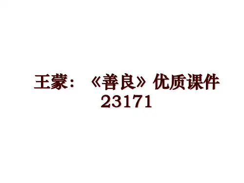 王蒙：《善良》优质课件23171