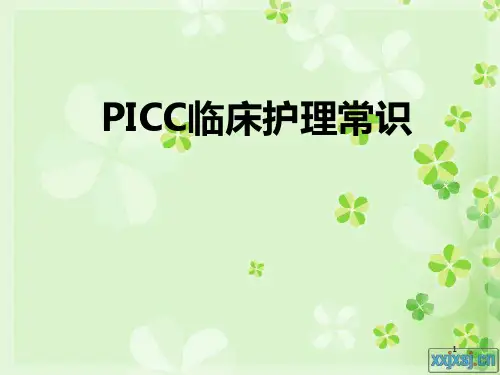 PICC的护理PPT幻灯片课件