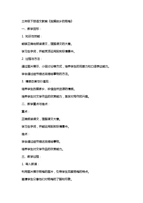 三年级下册语文教案《我爱故乡的杨梅》