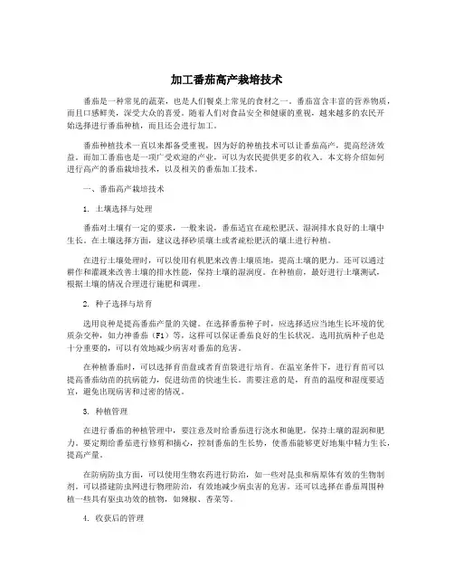 加工番茄高产栽培技术