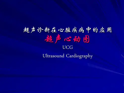 心脏超声诊断