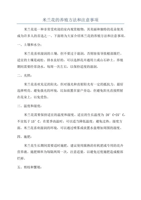 米兰花的养殖方法和注意事项