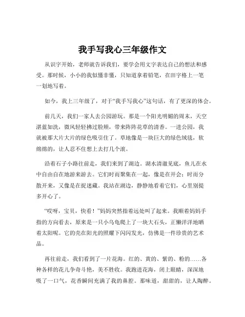 我手写我心三年级作文