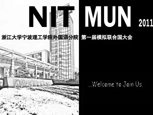 模拟联合国PPT