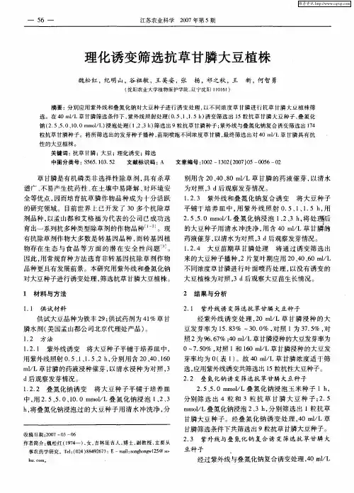 理化诱变筛选抗草甘膦大豆植株