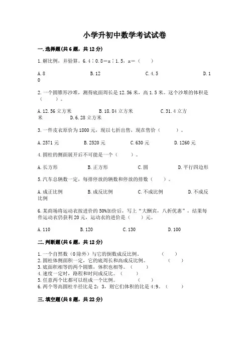 小学升初中数学考试试卷a4版可打印