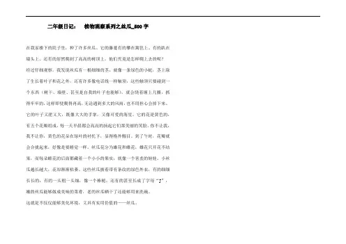 二年级日记： 植物观察系列之丝瓜_500字