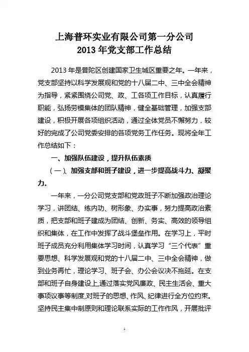 2013年党支部工作总结