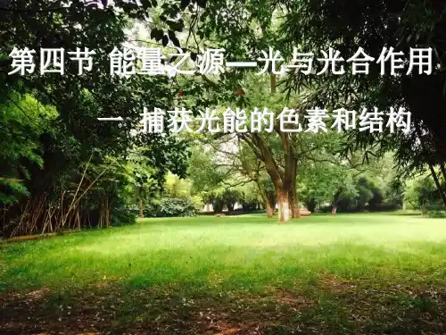 【优课】人教版高中生物必修一第5章第4节 能量之源---光与光合作用4.1捕获光能的色素和结构  (共22张PPT)