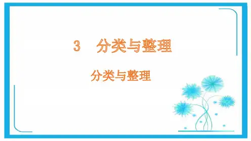 人教版一年级下册数学课件-3分类与整理(共23张PPT).pptx