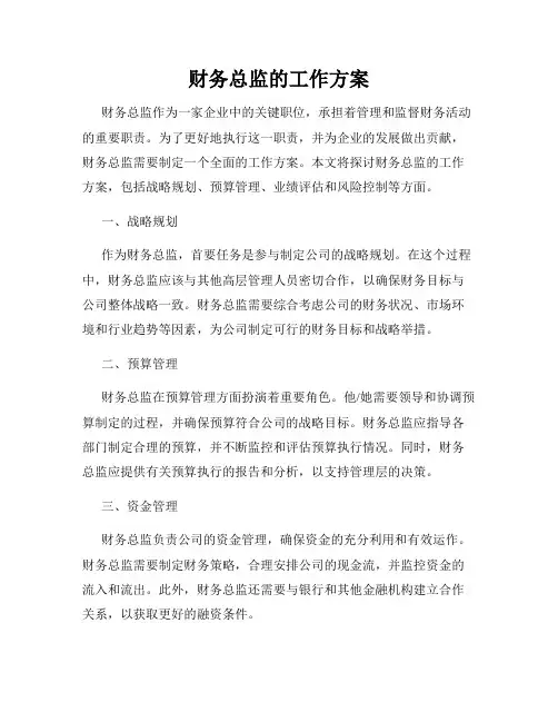 财务总监的工作方案