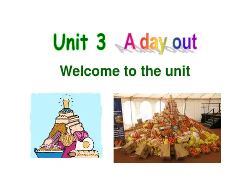 牛津译林 八年级上册 Unit3 Welcome to the unit (共31张PPT)