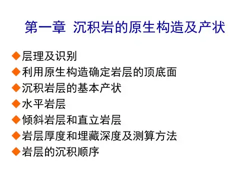 沉积岩的原生构造及产状