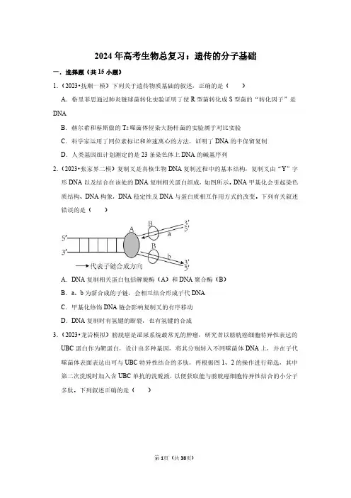 2024年高考生物总复习：遗传的分子基础
