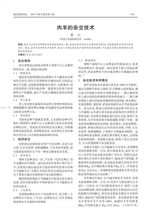 肉羊的杂交技术