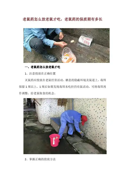 老鼠药怎么放老鼠才吃,老鼠药的保质期有多长