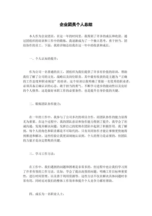 企业团员个人总结