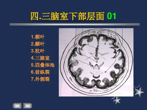 小儿头颅图谱PPT课件