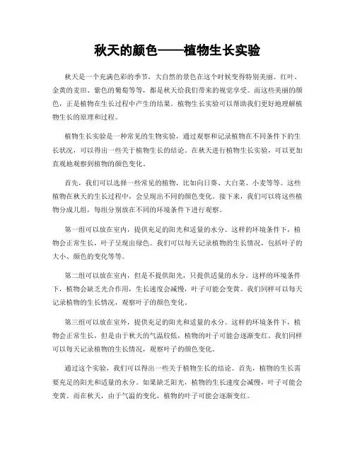 秋天的颜色——植物生长实验