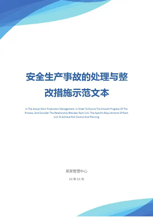 安全生产事故的处理与整改措施示范文本